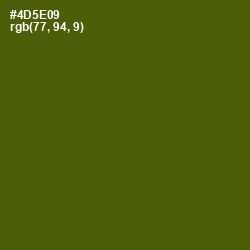 #4D5E09 - Verdun Green Color Image