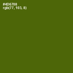 #4D6708 - Green Leaf Color Image