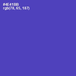 #4E41BB - Blue Violet Color Image