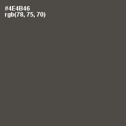 #4E4B46 - Gravel Color Image