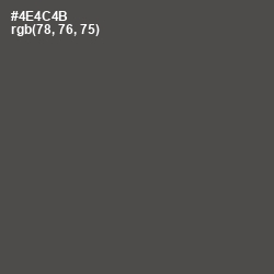 #4E4C4B - Gravel Color Image