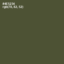 #4E5234 - Woodland Color Image