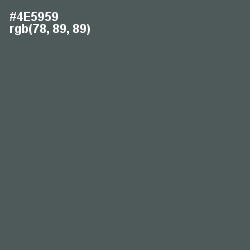 #4E5959 - Nandor Color Image