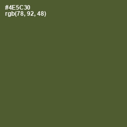 #4E5C30 - Woodland Color Image