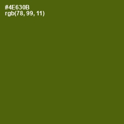 #4E630B - Green Leaf Color Image