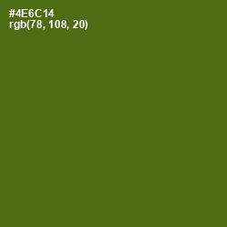 #4E6C14 - Green Leaf Color Image