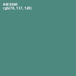 #4E8980 - Smalt Blue Color Image
