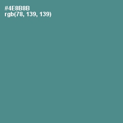 #4E8B8B - Smalt Blue Color Image