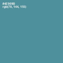 #4E909B - Smalt Blue Color Image