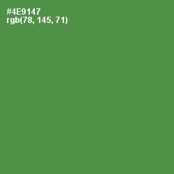 #4E9147 - Hippie Green Color Image