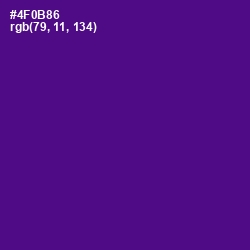 #4F0B86 - Pigment Indigo Color Image