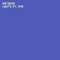 #4F5BB8 - Blue Violet Color Image
