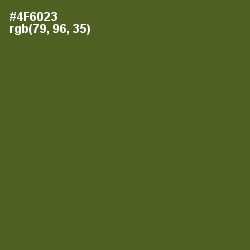 #4F6023 - Chalet Green Color Image