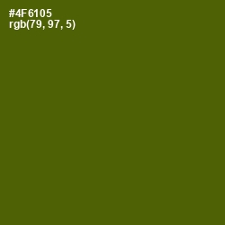 #4F6105 - Green Leaf Color Image