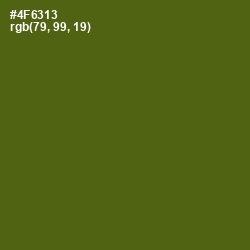 #4F6313 - Green Leaf Color Image