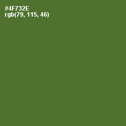 #4F732E - Chalet Green Color Image