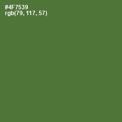 #4F7539 - Chalet Green Color Image