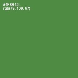 #4F8B43 - Hippie Green Color Image
