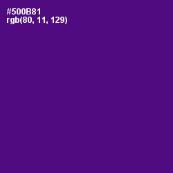 #500B81 - Pigment Indigo Color Image