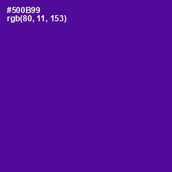 #500B99 - Pigment Indigo Color Image