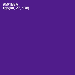 #501B8A - Pigment Indigo Color Image