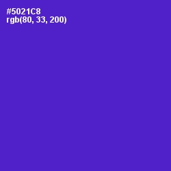 #5021C8 - Purple Heart Color Image