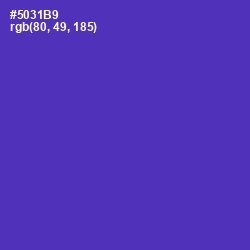 #5031B9 - Daisy Bush Color Image