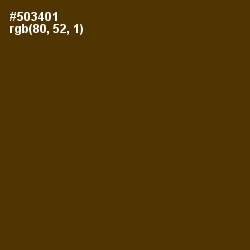 #503401 - Saddle Brown Color Image