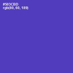 #503CBD - Royal Purple Color Image