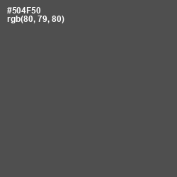 #504F50 - Mortar Color Image
