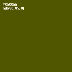 #505500 - Verdun Green Color Image