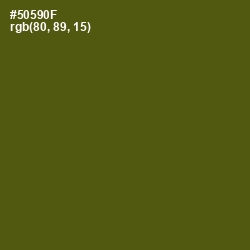 #50590F - Saratoga Color Image