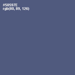 #50597E - Comet Color Image
