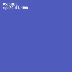 #505BBE - Blue Violet Color Image