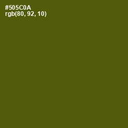 #505C0A - Saratoga Color Image