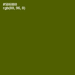 #506000 - Green Leaf Color Image