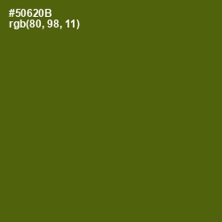 #50620B - Green Leaf Color Image
