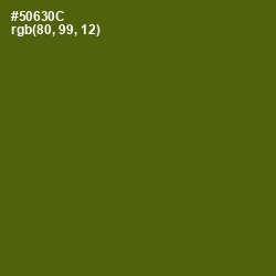 #50630C - Green Leaf Color Image