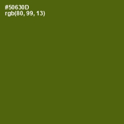 #50630D - Green Leaf Color Image