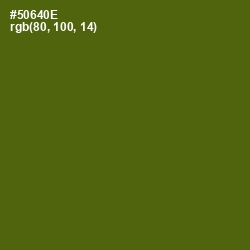 #50640E - Green Leaf Color Image