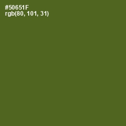 #50651F - Green Leaf Color Image