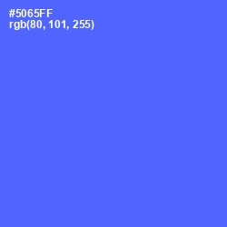 #5065FF - Royal Blue Color Image