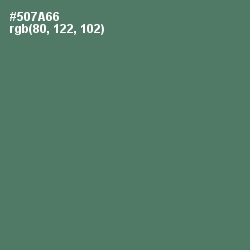 #507A66 - Como Color Image