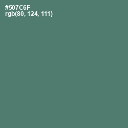 #507C6F - Como Color Image