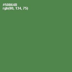 #50864B - Hippie Green Color Image