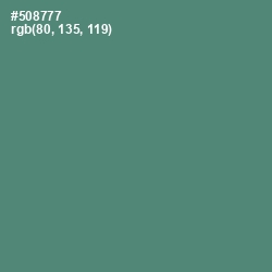 #508777 - Viridian Color Image