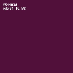 #51103A - Wine Berry Color Image