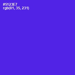 #5123E7 - Purple Heart Color Image