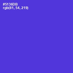 #5136DB - Purple Heart Color Image