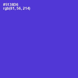 #5138D6 - Purple Heart Color Image